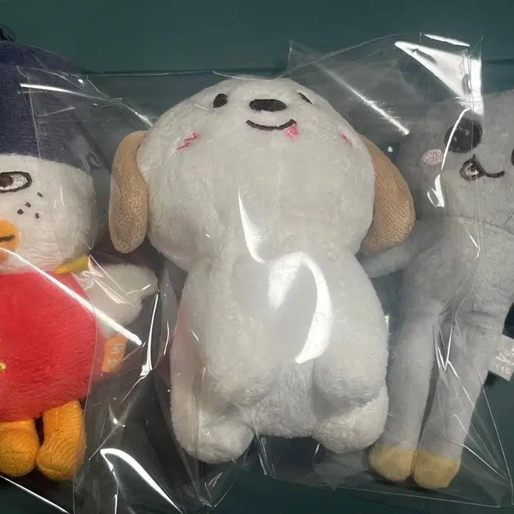 [SOLD OUT] [판매완료] 라이즈 송용돌이 똘병이 멍룡이 일괄 양도