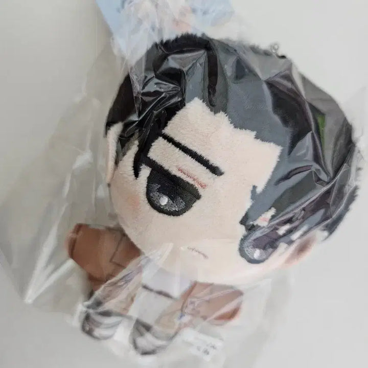 [SOLD OUT] 진격의 거인 리바이 누이 인형 누이팔 팝니다