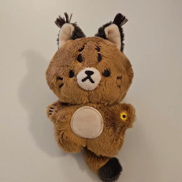[SOLD OUT] 쬬니칼 NCT쟈니 인형