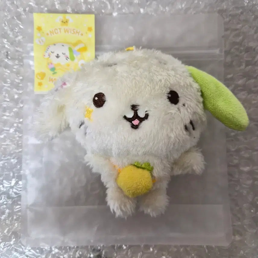 [BUNJANG] Wishdoll Ryunryun Unsealed / 위시돌 룐룐 단순개봉
