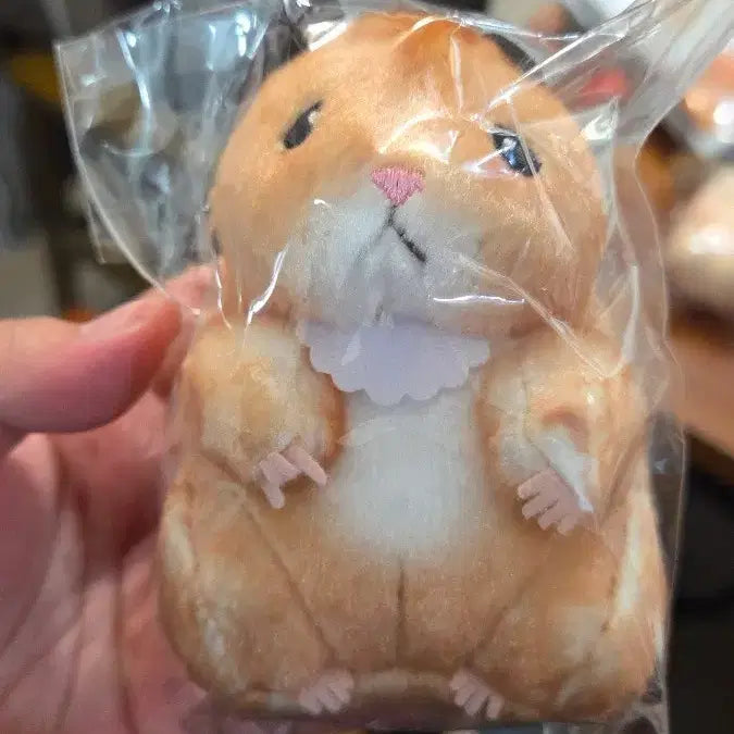[BUNJANG] Skelooth Hamster Plush Doll / 스케로쿠 햄스터인형 뚱쭝햄
