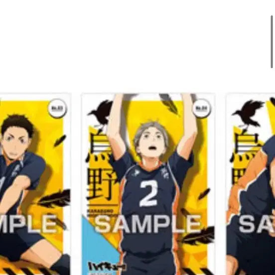 [BUNJANG] Haikyu Sugawara Clear Card / 하이큐 클리어카드 스가와라