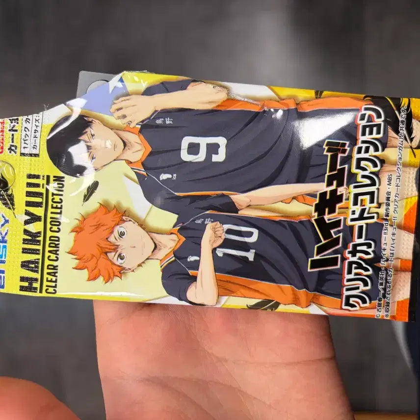 [BUNJANG] Haikyu Sugawara Clear Card / 하이큐 클리어카드 스가와라