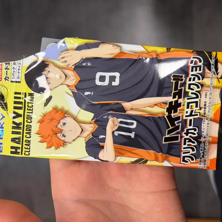 [BUNJANG] Haikyu Sugawara Clear Card / 하이큐 클리어카드 스가와라