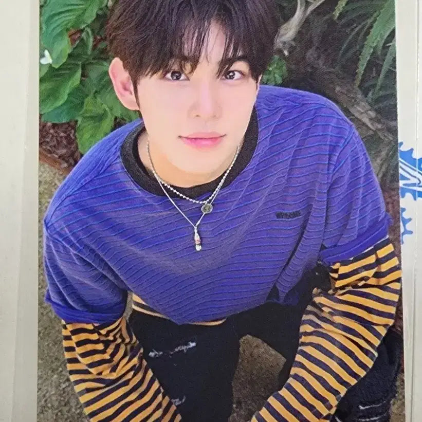 [BUNJANG] Kickflip Minjae Withmuu POB Photocard / 킥플립 민제 위드뮤 특전 포카