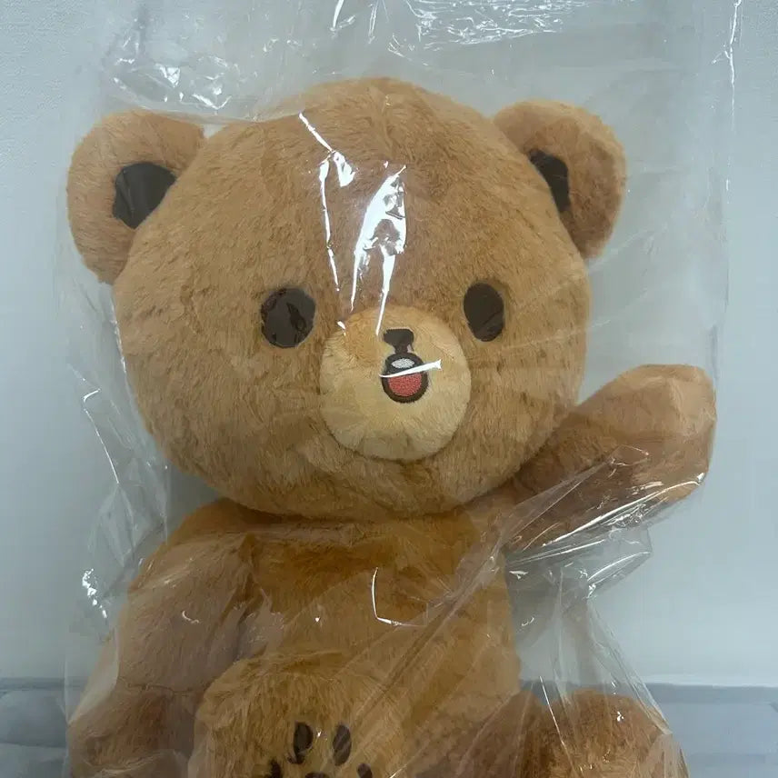 [BUNJANG] NCT Haechan Giant Igomdo Plush / 엔시티 해찬 대왕 이곰도 양도