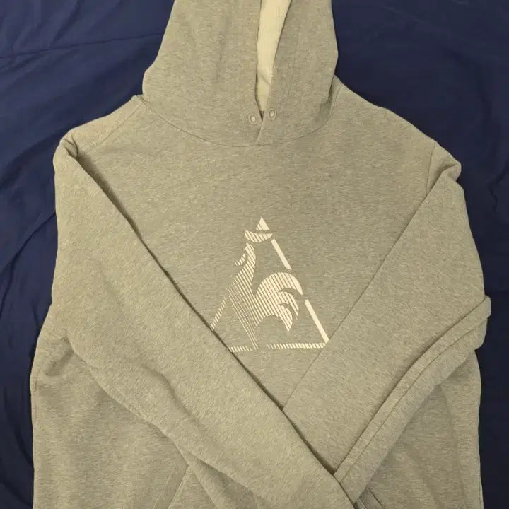 [BUNJANG] Lecoq Big Logo Gray Hoodie / 르꼬끄 스포티 Lecoq 빅로고 그레이 후디 후드티