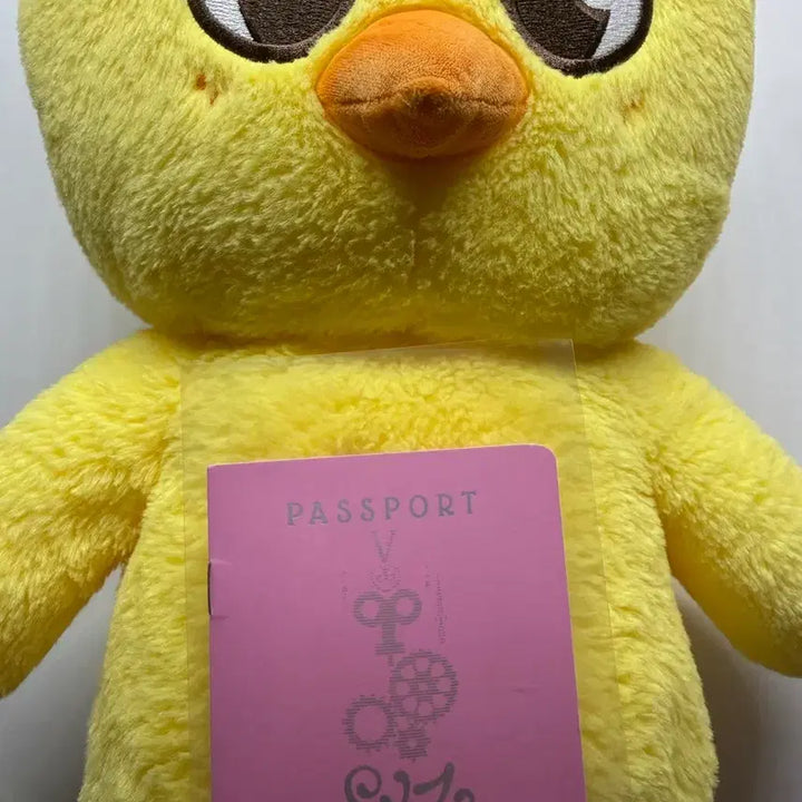[BUNJANG] SKZ Felix Passport Photocard / 뽁아리 테디베어 양도 / 스키즈 스키주 필릭스 여권