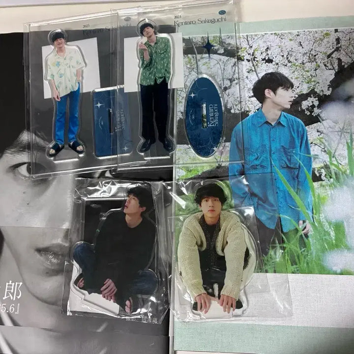 [BUNJANG] Sakaguchi Kentaro Acrylic Stand &amp; Photocard Bundle Set / 사카구치 켄타로 사진집, 아크릴 스탠드, 틴케이스 포토카드 일괄