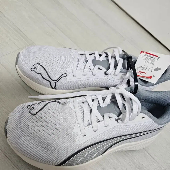 [SOLD OUT] 퓨마 러닝화 255