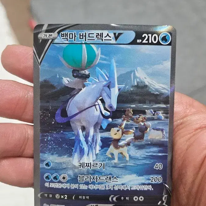 [BUNJANG] Pokemon Card Spectrier SR Special Illustration / 포켓몬카드 백마버드렉스 SR 특일카드 팝니다