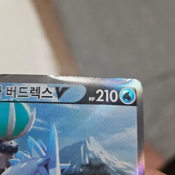 [BUNJANG] Pokemon Card Spectrier SR Special Illustration / 포켓몬카드 백마버드렉스 SR 특일카드 팝니다