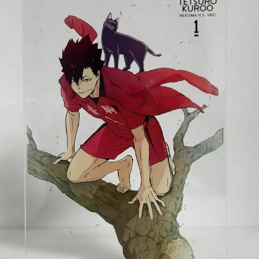 [BUNJANG] Haikyuu!! Kuroo Tetsuro Barefoot Acrylic Stand / 하이큐 쿠로오 맨발 아크릴
