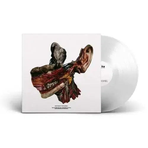 [BUNJANG] Vinyl Record LP / 번역중손실 lp 구매