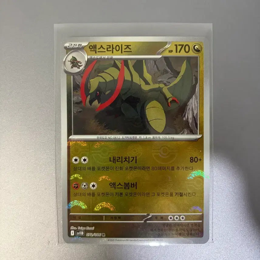 [BUNJANG] Pokemon Card Axew Mirror Card / 포켓몬카드 액스라이즈 미러카드