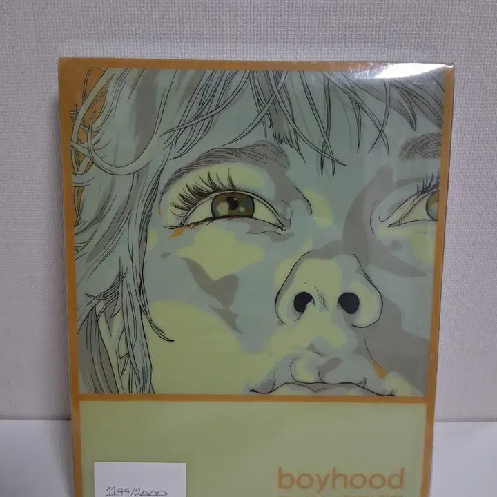 [SOLD OUT] 미개봉/보이후드 Boyhood 한정판 블루레이