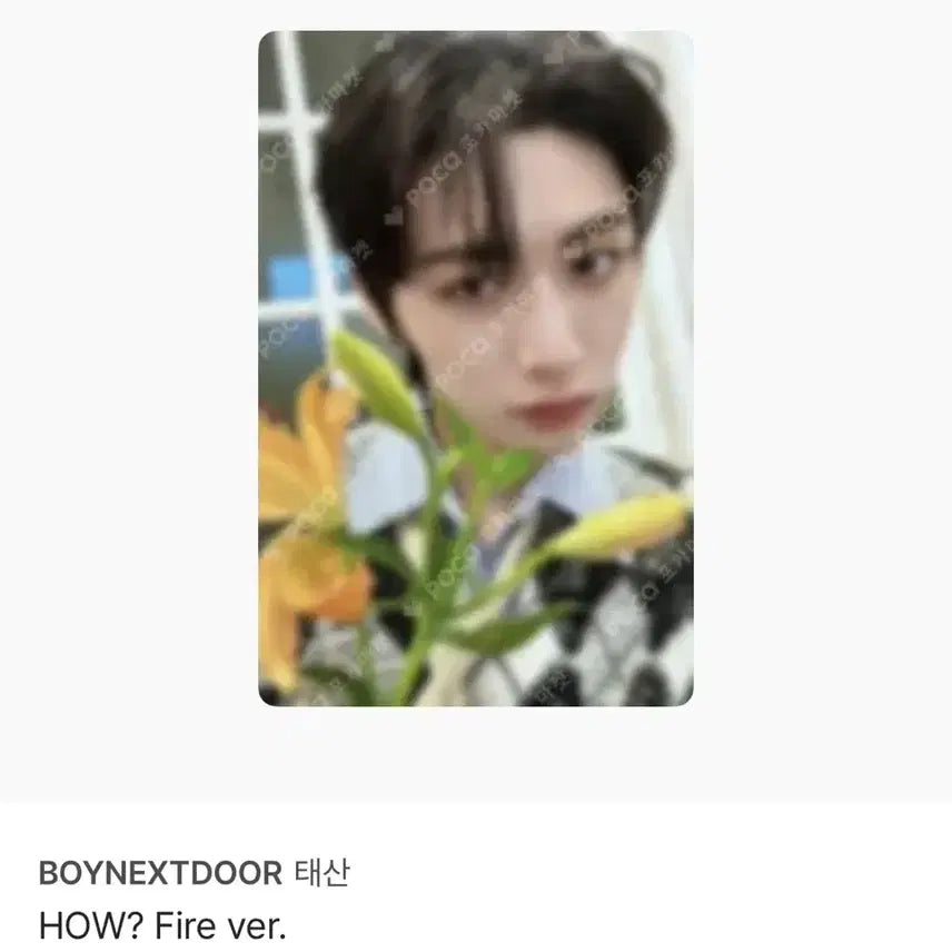 [BUNJANG] BOYNEXTDOOR TaeSan HOW? Fire ver. Photocard Bundle Set / 보넥도 태산 HOW? Fire ver. 포카 일괄 판매