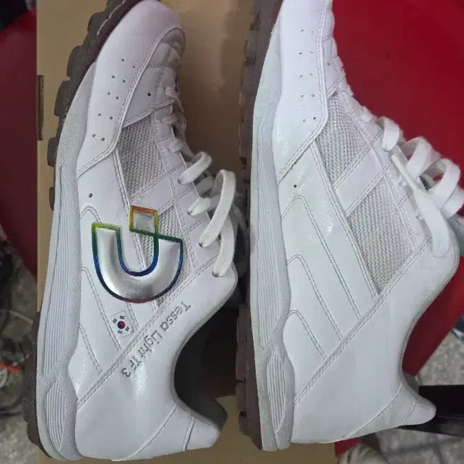 [BUNJANG] Desporte TESA LIGHT Futsal Shoes / 데스포르치 테사라이트 풋살화 250