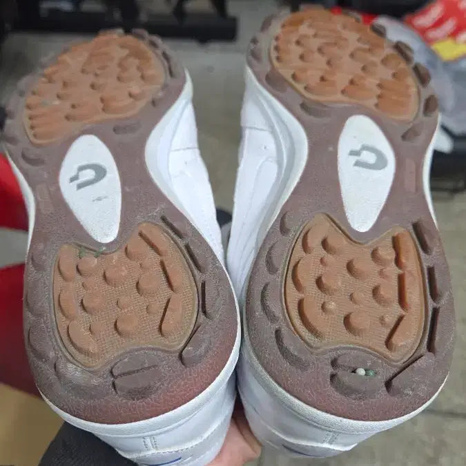 [BUNJANG] Desporte TESA LIGHT Futsal Shoes / 데스포르치 테사라이트 풋살화 250