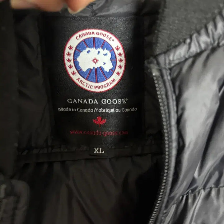 [BUNJANG] Canada Goose Lightweight Padded Jacket / 캐나다 구스 경량 패딩 팔아여(급처)