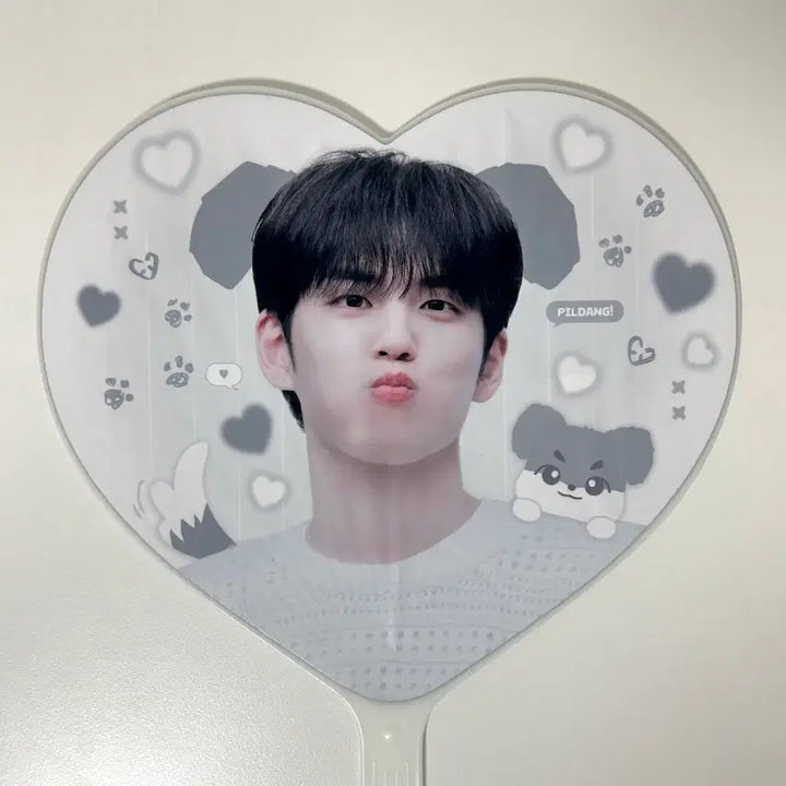 [SOLD OUT] 데이식스 원필 필댕 우치와