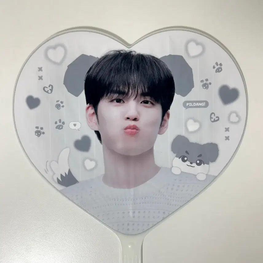 [SOLD OUT] 데이식스 원필 필댕 우치와