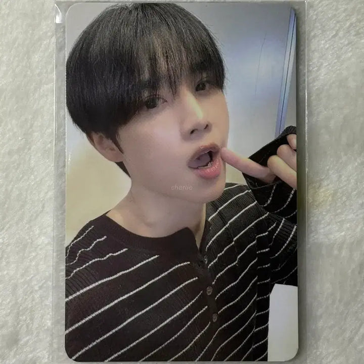 [BUNJANG] The Boyz Sunwoo Fromm 1-Year Membership 2nd Photocard / 더보이즈 선우 프롬 1년권 2차 포카