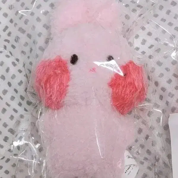 [BUNJANG] Highlight Gikwang Ppo-ki 10cm Doll / 기광 인형 (뽀키)