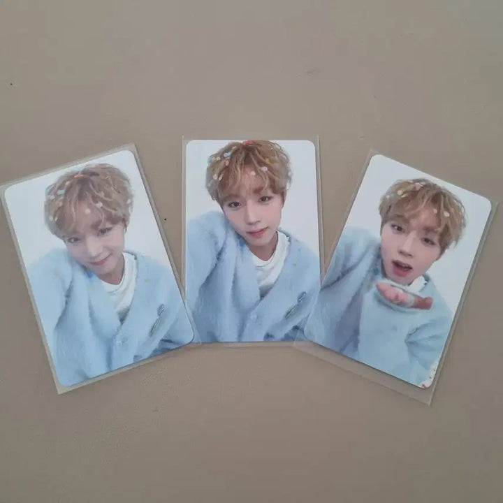 [SOLD OUT] 급처) 박지훈 생일 포카 3종 일괄 양도   박지훈왕사남약한영웅메이소심이