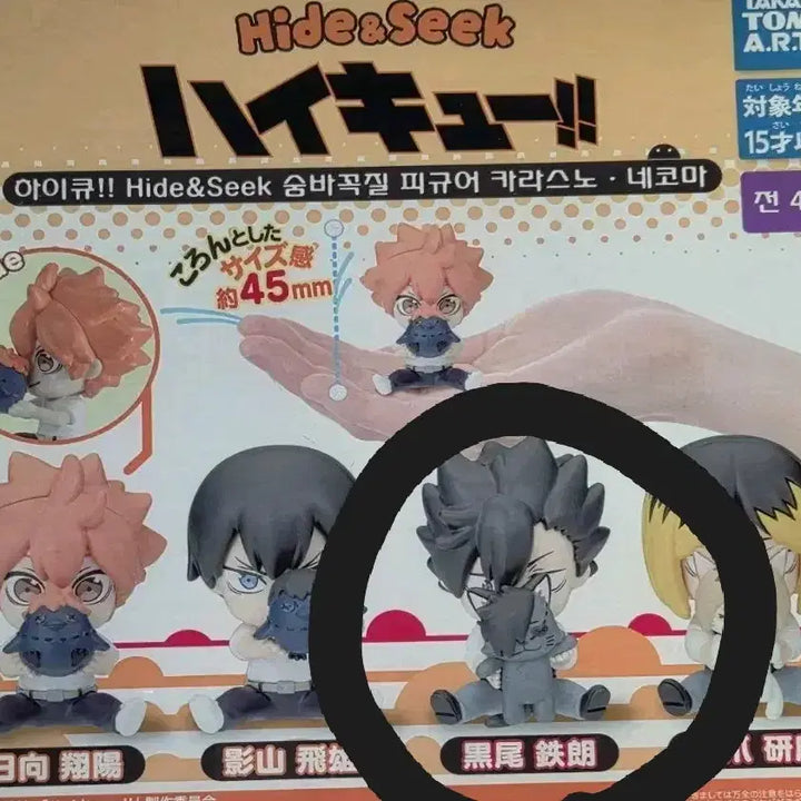 [BUNJANG] Haikyu Kuroo Tetsuro Figure / 하이큐 쿠로오 테츠로