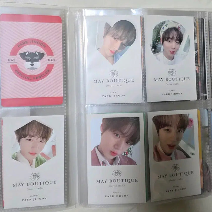 [BUNJANG] Studio Mei Park Jihoon Photocard / 스튜디오메이 박지훈 메이 3기 풀박