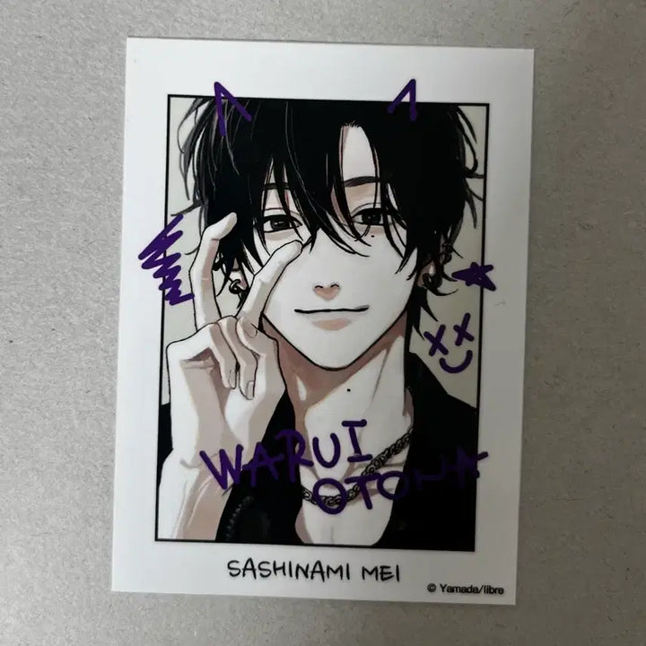 [BUNJANG] Tashiro Sticker / 타시로 너란 녀석은 메이 체키풍 스티커