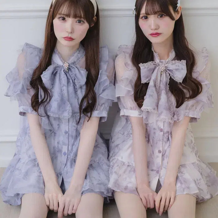 [BUNJANG] ROJITA Sheer Tunic Short Sleeve Blouse / 로지타 ROJITA 시어 튜닉 반팔 블라우스