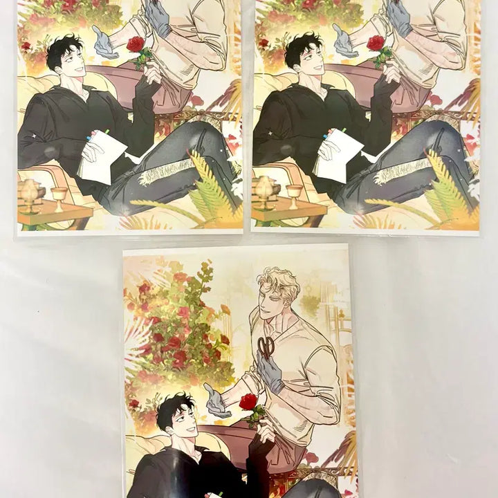 [BUNJANG] Rose and Champagne Printing Box Bundle Set Photocard / 일괄) 장미와 샴페인 장샴 프린팅박스 프박 3장 양도