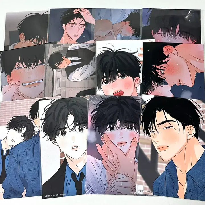 [BUNJANG] Hey!Press Photocard Bundle Set / 투니크 향의 경계 헤이프박 프박 4*6 12장 일괄