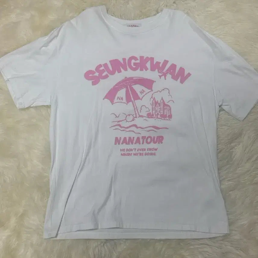 [BUNJANG] SEVENTEEN Boo Nana Tour Italy Version T-Shirt / 급처)) 세븐틴 나나투어 승관 티셔츠 판매해요