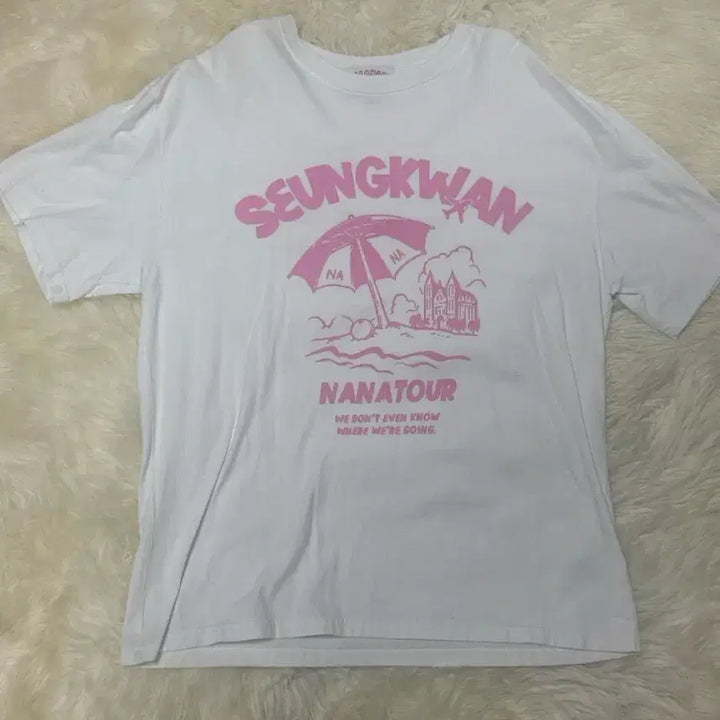 [BUNJANG] SEVENTEEN Boo Nana Tour Italy Version T-Shirt / 급처)) 세븐틴 나나투어 승관 티셔츠 판매해요