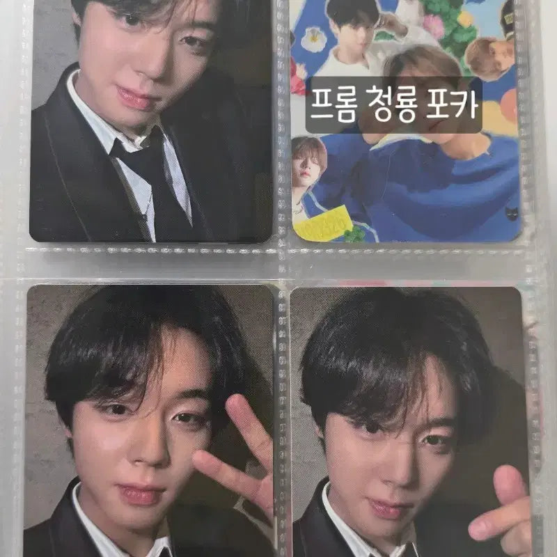 [BUNJANG] Park Jihoon Blue Dragon From Photocard Set / 박지훈 청룡 프롬 포토카드 포카
