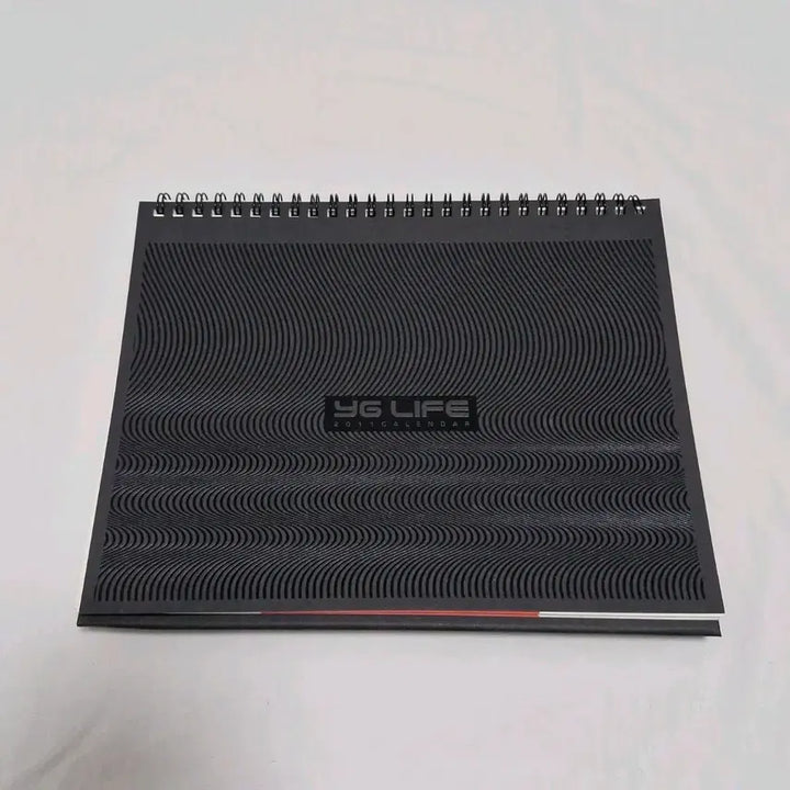 [BUNJANG] YG Family 2011 Calendar (BIGBANG, 2NE1) / yg 패밀리 2011 캘린더 (빅뱅, 2ne1 달력)