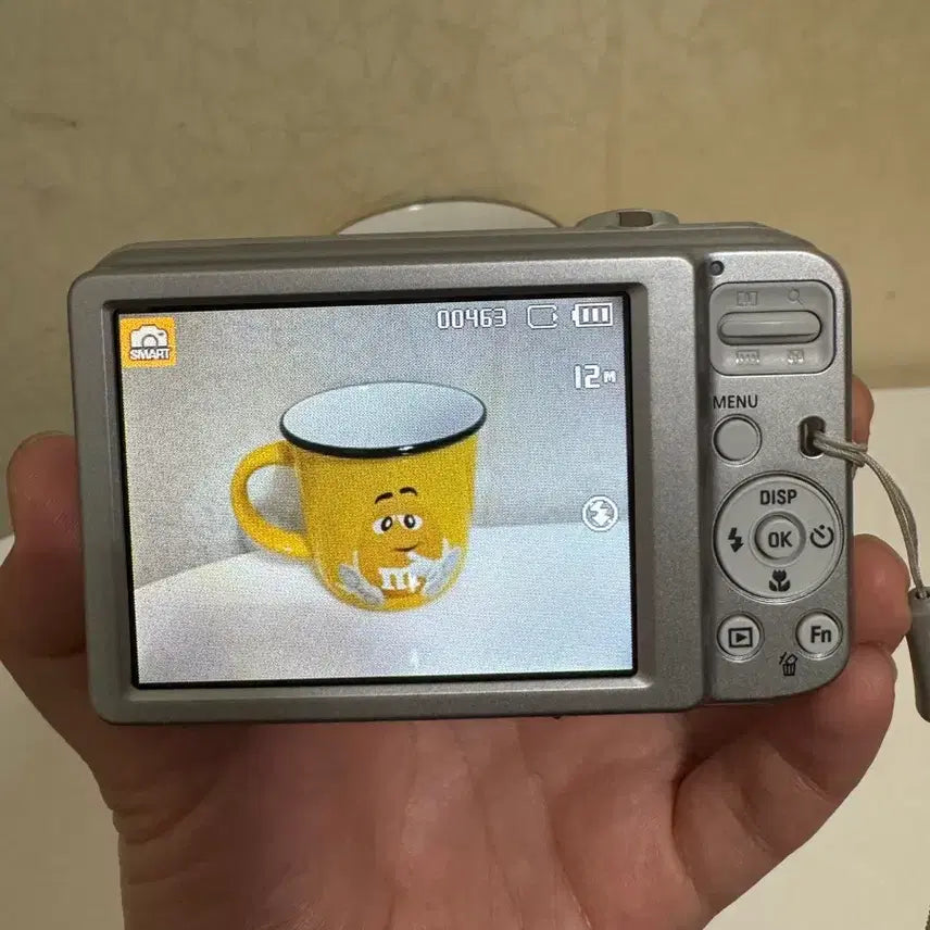 [BUNJANG] Samsung VLUU ES30 Digital Camera (Silver) / [하츠투하츠 이안디카,새상품]삼성 VLUU ES30디카