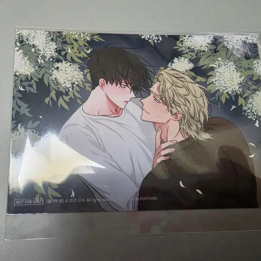 [BUNJANG] BOMTOON Home Sweet Water Night Header Photo / 봄툰 홈스윗 물가의 밤 헤더 인화 사진