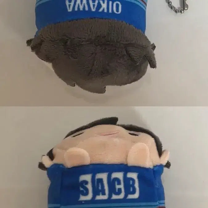 [BUNJANG] Haikyu Oikawa Toru Nendoroid Plush / 하이큐 오이카와 노루캬랴 누이 쯔무