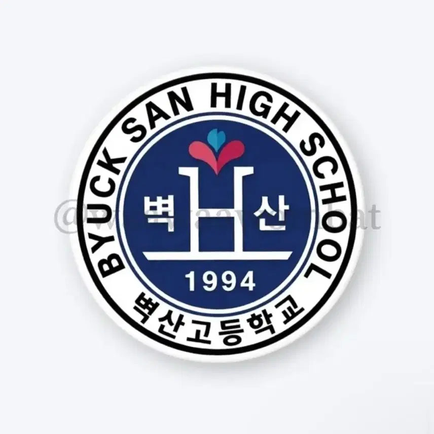 [BUNJANG] Weak Hero Byuksan High School Pin Button / 약한영웅 벽산고 핀버튼 원가양도