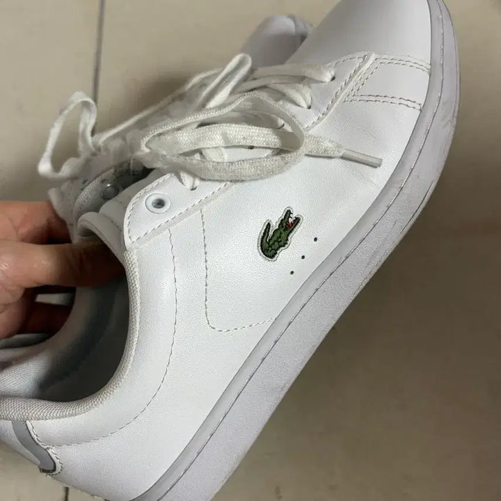 [BUNJANG] Lacoste Carnaby Sneakers / 라코스테 카나비 245