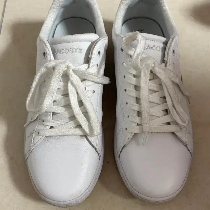 [BUNJANG] Lacoste Carnaby Sneakers / 라코스테 카나비 245