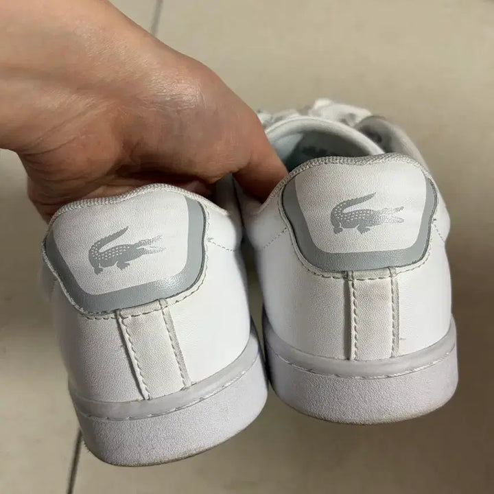 [BUNJANG] Lacoste Carnaby Sneakers / 라코스테 카나비 245