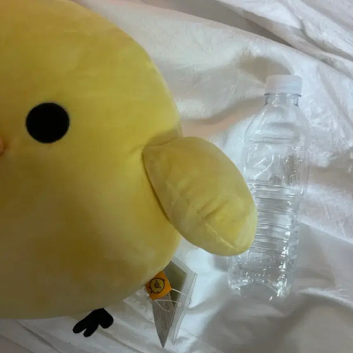 [BUNJANG] Kiiroitori Plush Doll / 키이로이토리 인형
