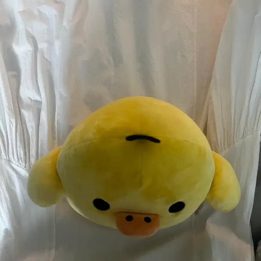 [BUNJANG] Kiiroitori Plush Doll / 키이로이토리 인형
