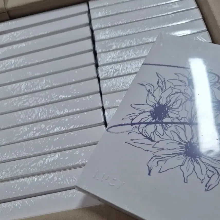 [BUNJANG] LUCY Sun Album / 루시 선 앨범