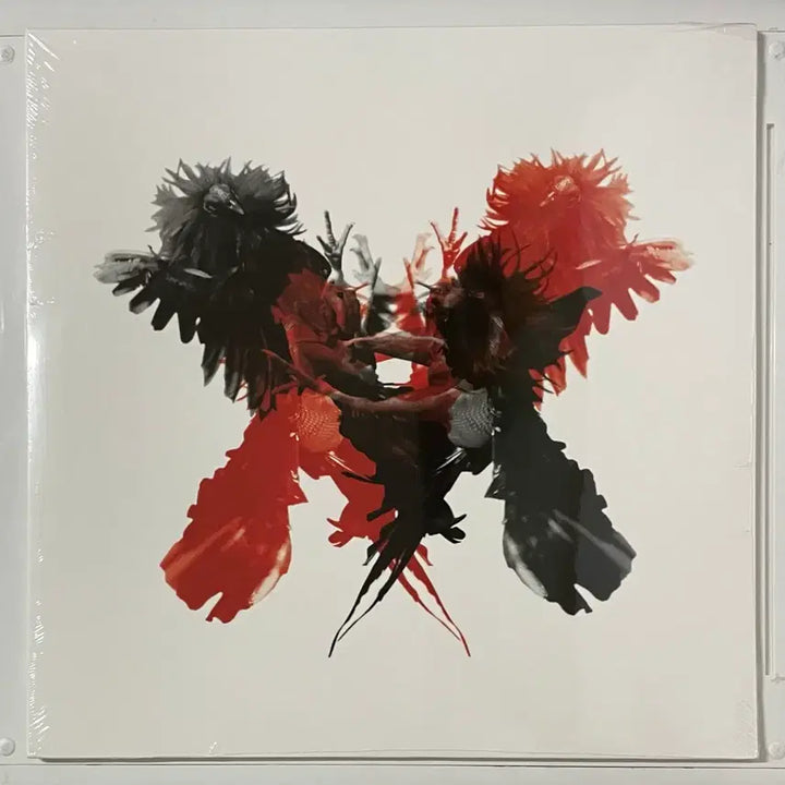 [BUNJANG] Kings of Leon LP &amp; CD Bundle Set / Kings of Leon(킹스오브리온)LP